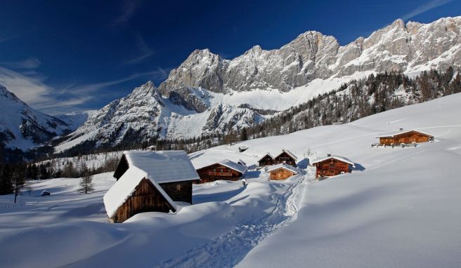 Schladming-Dachstein  Perfekter Skitag: Mit Guide zum gemütlichen Pistenvergnügen