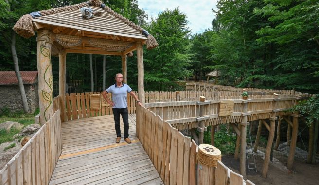 Erlebnispfad über dem Gehege  Perspektivwechsel und Brückenschlag im Zoo Eberswalde