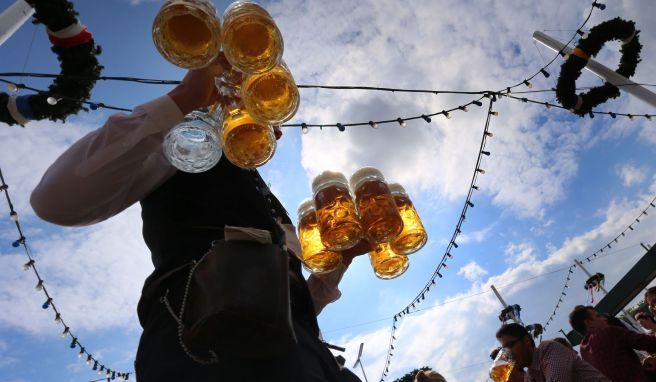 Das Bier auf der Wiesn wird in diesem Jahr wohl um gut 15 Prozent teurer. 