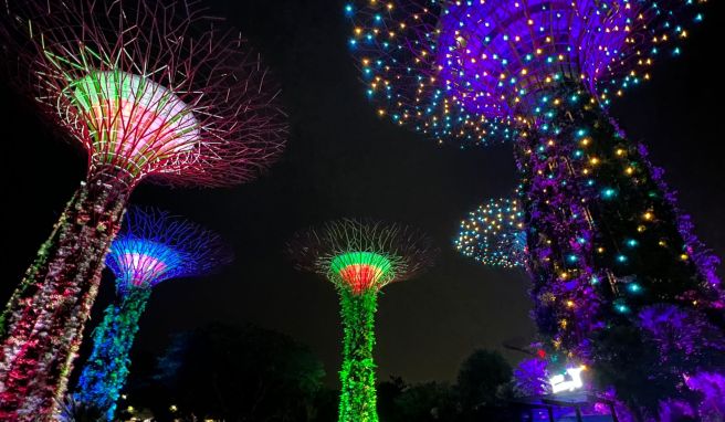 Gardens by the Bay  Neue Attraktion: Polarlichter in Singapur