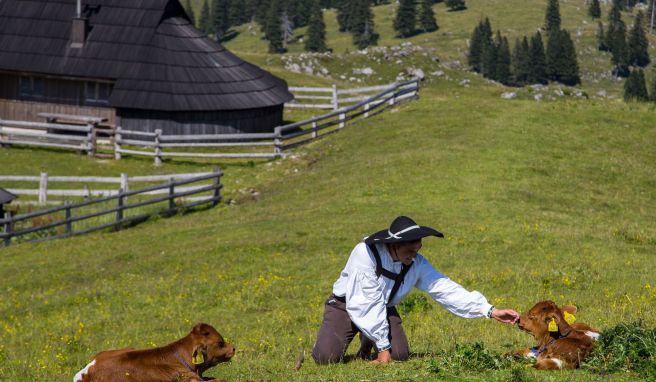 Hirten mit Herz  Ein Sommer auf Sloweniens Hochalm