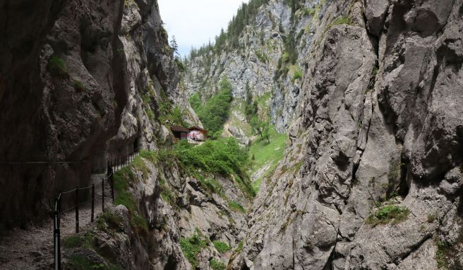 REISE & PREISE weitere Infos zu Höllentalklamm: Die wilde Schlucht am Fuß der Zugspitze