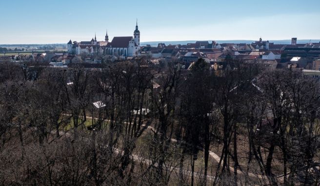 Arbeiten im Endspurt  Torgau wappnet sich für Landesgartenschau