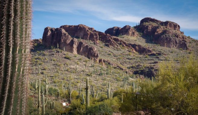 Schroffe Felsformationen und eine Menge Kakteen: Der Peralta Regional Park in Arizona wirbt mit rauer Ursprünglichkeit.
