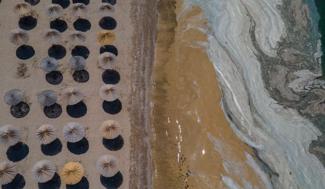 Algenplage  Meeresschleim in Türkei: Marmarameer «jetzt totes Meer»