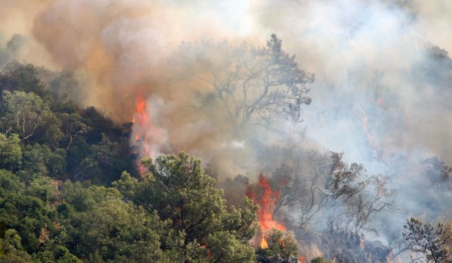 Schon im vergangenem Jahr hatte es in der Urlaubsregion Marmaris im Südwesten der Türkei starke Waldbrände gegeben. Nun sind dort erneut Feuer ausgebrochen. 