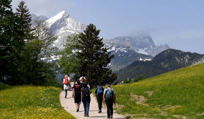 REISE & PREISE weitere Infos zu Deutscher Alpenverein: Ansturm auf die heimischen Berge