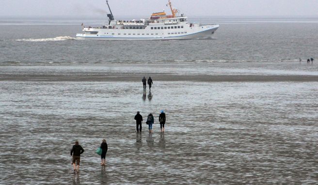 Wattwanderer sind bei Ebbe an der Küste unterwegs, im Hintergrund fährt das Ausflugsschiff «Funny Girl» nach Helgoland. 