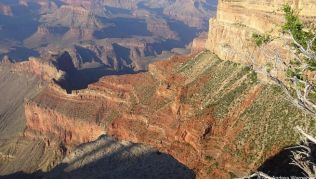 Wem der Blick über den Grand Canyon nicht reicht, der kann sich mit einer Ziplinefahrt eine zusätzliche Adrenalinzufuhr verpassen. Im Westteil wurde jetzt eine neue Strecke eröffnet Wem der Blick über den Grand Canyon nicht reicht, der kann sich mit einer Ziplinefahrt eine zusätzliche Adrenalinzufuhr verpassen. Im Westteil wurde jetzt eine neue Strecke eröffnet