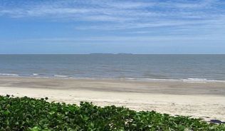 Der schönste Strand von Französisch Guayana bei Kourou vor der Ile du Salut, Frankreich, Südamerika##Foto: Wikimedia Commons, Arria Belli Der schönste Strand von Französisch Guayana bei Kourou vor der Ile du Salut, Frankreich, Südamerika