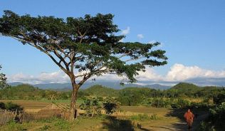 Unterwegs in Rakhine, dem unbekannten Westen von Myanmar##Foto: Flickr.com, Roger Price Unterwegs in Rakhine, dem unbekannten Westen von Myanmar