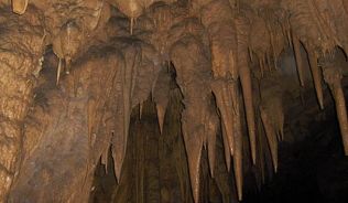 Auf Humboldts Spuren die Tropfsteinhöhle Cueva del Guacharo in Venezuela entdecken##Foto: Wikimedia Commons, Tigerfenix Auf Humboldts Spuren die Tropfsteinhöhle Cueva del Guacharo in Venezuela entdecken