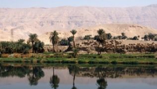 Grüne Ufer, dahinter Wüste: Der Nil ist eine wichtige Lebensader in Ägypten##Foto: Philipp Laage Grüne Ufer, dahinter Wüste: Der Nil ist eine wichtige Lebensader in Ägypten