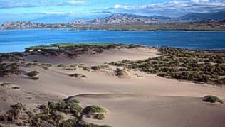 Die Dünen »Dunas de Baní« sind die größten Sanddünen der Karibik##Foto: Tourism Board Dominikanische Republik Die Dünen »Dunas de Baní« sind die größten Sanddünen der Karibik