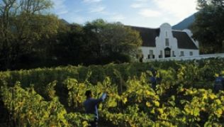 Die Weinberge gehören zu Kapstadts Sehenswürdigkeiten. Eingerahmt in ein Tal am südlichen Hang des Tafelbergs, wirkt Groot Constantia wie ein ländliches Idyll.##Foto: Groot Constantia Die Weinberge gehören zu Kapstadts Sehenswürdigkeiten. Eingerahmt in ein Tal am südlichen Hang des Tafelbergs, wirkt Groot Constantia wie ein ländliches Idyll.