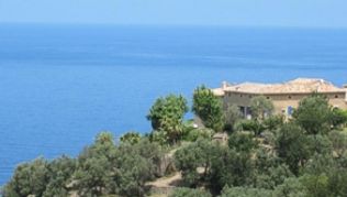 Reisen nach Mallorca werden teurer##Foto: Marina Leunig Reisen nach Mallorca werden teurer