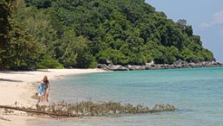 Tioman vor der Ostküste der malaiischen Halbinsel ist ein noch recht unbekanntes Reiseziel.##Foto: Christian Röwekamp Tioman vor der Ostküste der malaiischen Halbinsel ist ein noch recht unbekanntes Reiseziel.
