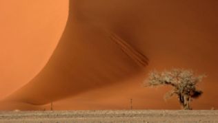 Karge Landschaft: Der Dorob-Nationalpark bietet Besuchern dennoch einmalige Naturschauspiele.##Foto: NTB Frankfurt Karge Landschaft: Der Dorob-Nationalpark bietet Besuchern dennoch einmalige Naturschauspiele.