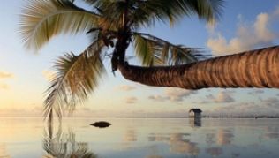 Postkartenkulisse auf Tahiti: Einmal im Leben in die Südsee fliegen - auch Weltreisende können diesen Stop einplanen##Foto: Tahiti Tourisme/Gregoire Le Bacon Postkartenkulisse auf Tahiti: Einmal im Leben in die Südsee fliegen - auch Weltreisende können diesen Stop einplanen