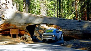 Kalifornien: Vom Pazifik in die Sierra Nevada