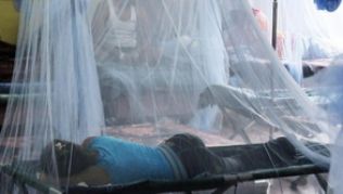 Dengue-Fieber in Honduras: Urlauber in Mittel- und Südamerika sollten sich gut gegen Mücken und damit vor einer Infektion schützen##Foto: Gustavo Amador Dengue-Fieber in Honduras: Urlauber in Mittel- und Südamerika sollten sich gut gegen Mücken und damit vor einer Infektion schützen