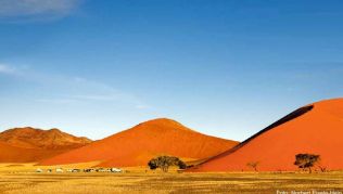 Wie Ameisen auf einem gigantischen Sandhaufen: Wanderer steigen auf die »Düne 45« im Namib-Naukluft-Park Wie Ameisen auf einem gigantischen Sandhaufen: Wanderer steigen auf die »Düne 45« im Namib-Naukluft-Park