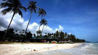 Auf Ferieninseln wie Ko Samui hinterlassen Fischerei und Tourismus einige Umweltschäden. Mit neuen Verboten will Thailand nun dagegen vorgehen Auf Ferieninseln wie Ko Samui hinterlassen Fischerei und Tourismus einige Umweltschäden. Mit neuen Verboten will Thailand nun dagegen vorgehen