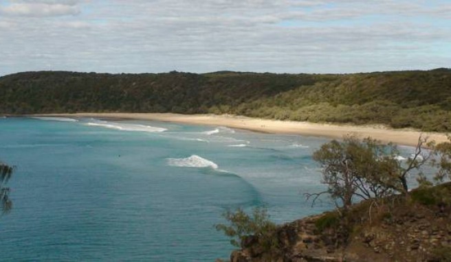 REISE & PREISE weitere Infos zu Australien: Alexandria Bay, Noosa