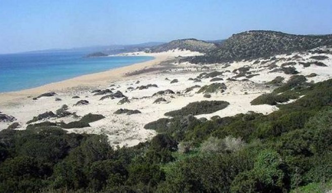 Der Golden Beach liegt an der östlichen Spitze der Karpas Halbinsel im türkischen Nordteil der Insel.