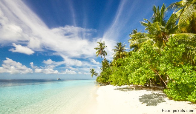 REISE & PREISE weitere Infos zu ABC-Inseln: Beste Reisezeit