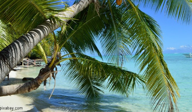 REISE & PREISE weitere Infos zu Bora Bora: Beste Reisezeit 