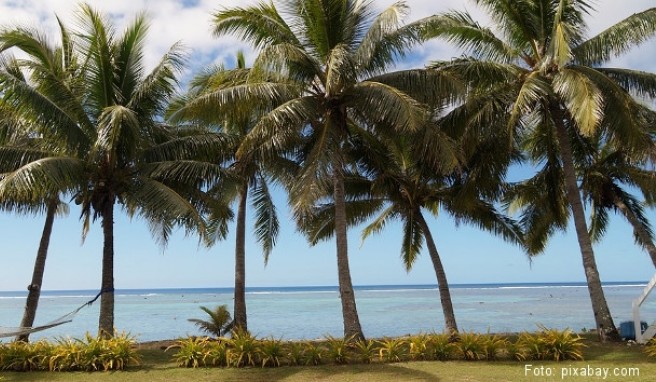 REISE & PREISE weitere Infos zu Cook-Inseln: Beste Reisezeit 