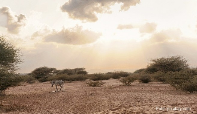 REISE & PREISE weitere Infos zu Dschibuti: Beste Reisezeit