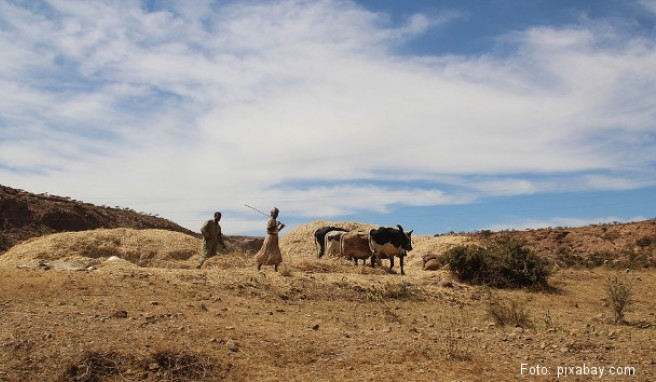 REISE & PREISE weitere Infos zu Eritrea: Beste Reisezeit