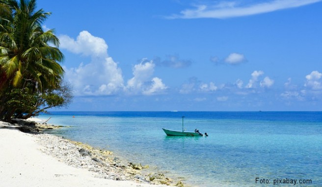REISE & PREISE weitere Infos zu Malediven: Beste Reisezeit