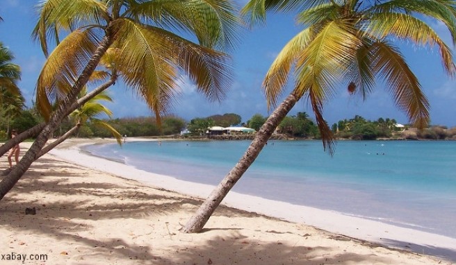 REISE & PREISE weitere Infos zu Martinique: Beste Reisezeit 