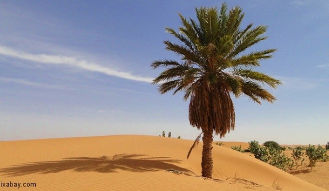  Mauretanien  Beste Reisezeit Mauretanien