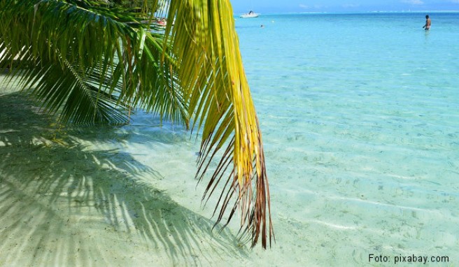 REISE & PREISE weitere Infos zu Tahiti: Beste Reisezeit 