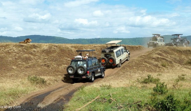 REISE & PREISE weitere Infos zu Tansania: Beste Reisezeit