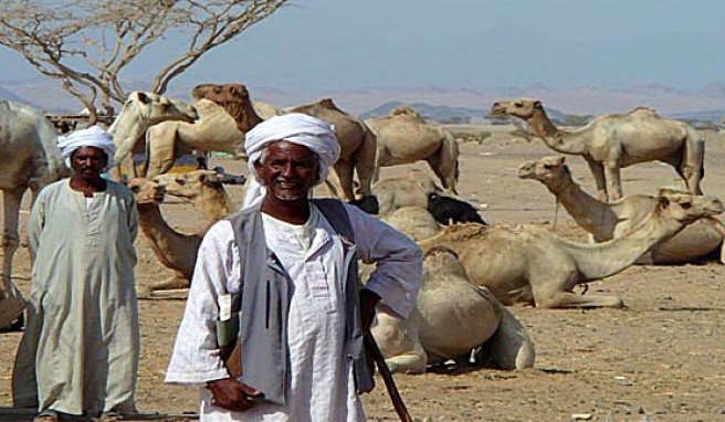 Unter Beduinen ist man beim Kamelmarkt in Shalatin im äußersten Süden von Ägypten