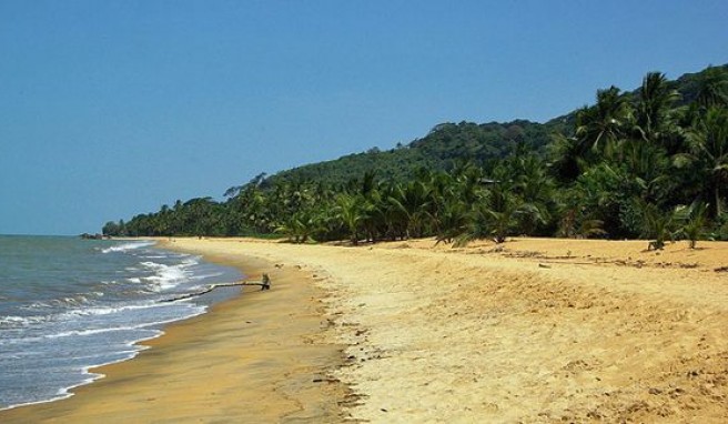 Remire Montioly Beach, Strandparadies bei Cayenne, Französisch Guyana