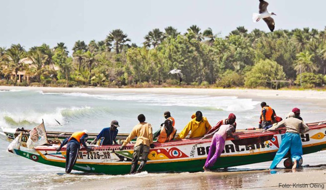 Reisebericht Gambia  Kleines Land am großen Fluss für Entdecker