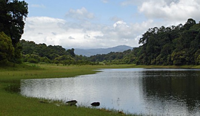 Periyar Nationalpark in Kerala, Indien