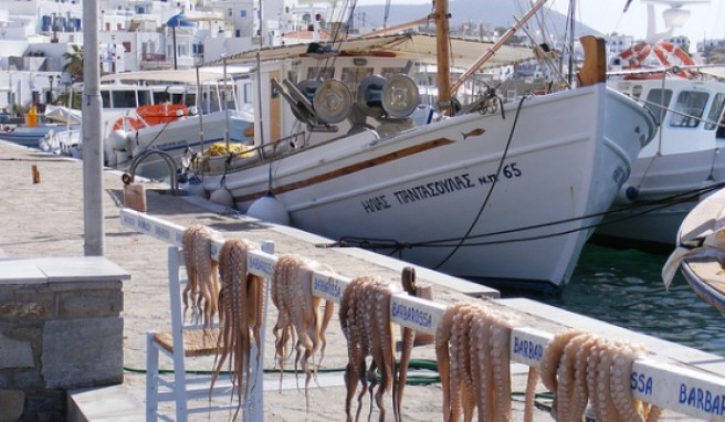 Tintenfisch ist die kulinarische Spezialität auf Paros.##Foto: flickr.com paula_mcmillen Tintenfisch ist die kulinarische Spezialität auf Paros.
