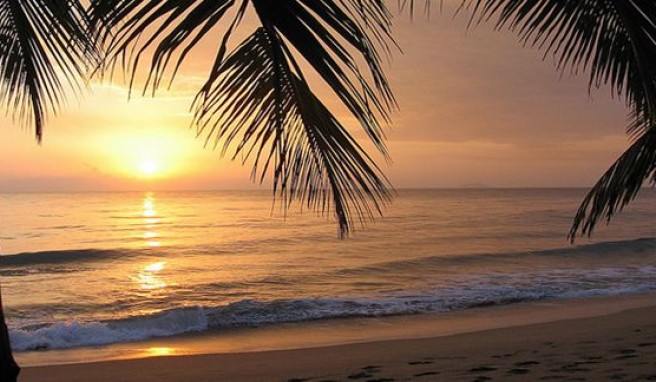 Rincon das Strandparadies unter Palmen auf Puerto Rico