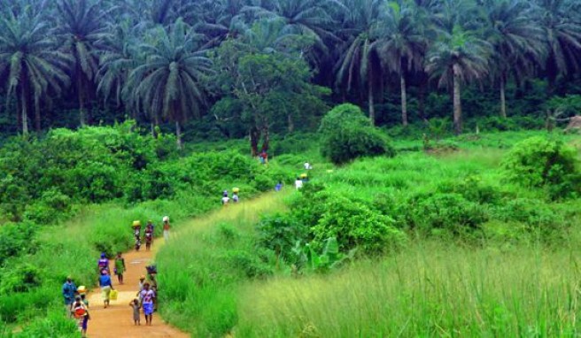 Sierra Leone, ein Stück ursprüngliches Westafrika