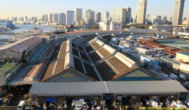 Über eine Größe von mehr als 40 Fußballfeldern erstreckt sich der Fischmarkt Tsukiji in Tokio.