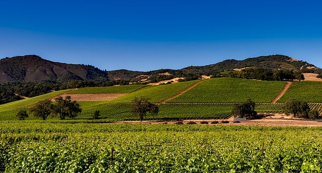 Rund 800 Weingüter und immer mehr Spitzenrestaurants locken Genießer nach Kalifornien – und nicht nur die