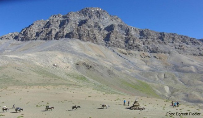 Die Wandergruppe überquert zusammen mit ihren Lasttieren den Barmi-Pass auf 4.700 Metern