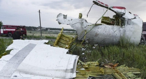 Trümmer nach dem Absturz: Alle 298 Menschen an Bord der Boeing starben